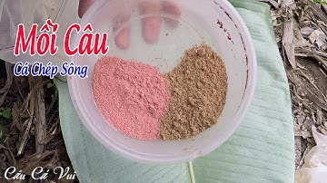 Cách Pha MỒI CÂU Cá Chép Sông CHUẨN Và HIỆU QUẢ