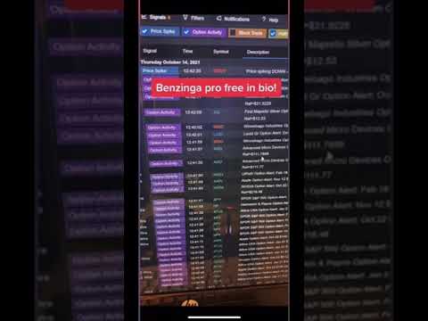 Options Flow strategy