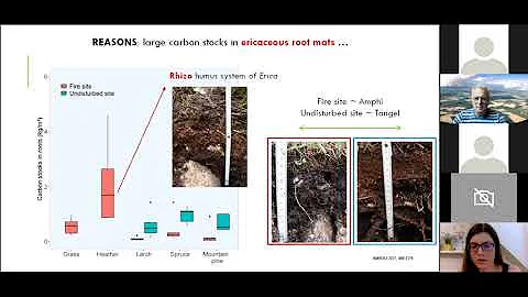 Webinar Humusica 202:  Soil biodiversity + management - Practical tools + actions - Judith Schaufler