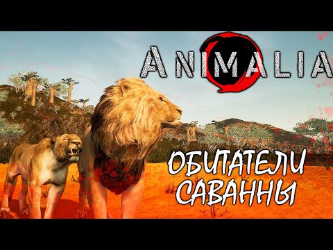 Видео: Где Animalia?