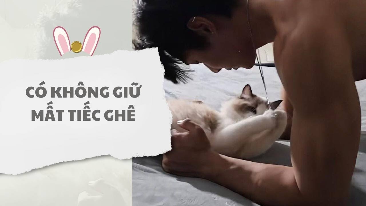 [ TRUYỆN AUDIO ] Có không giữ mất tiếc ghê (Full) | Thỏ Audio