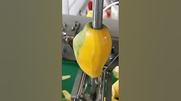 automatic mango peeling machine sweet potato cassava peeling machine