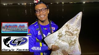 Singapore Surf Casting | shovelnose shark #bigfish #bigfishvideo  #strikeikanbesar #surfcasting