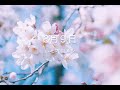 レミオロメン『3月9日』/【covered by Kengo.〜Piano ver.〜】