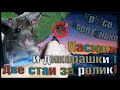 Пасюки и декорашки. Две стаи в одном видео. Крысы, кругом крысы. ( Wild Rats | Fancy Rats )