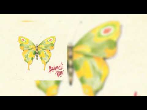 Animali Rari – Sposi del viavai (Official Audio)