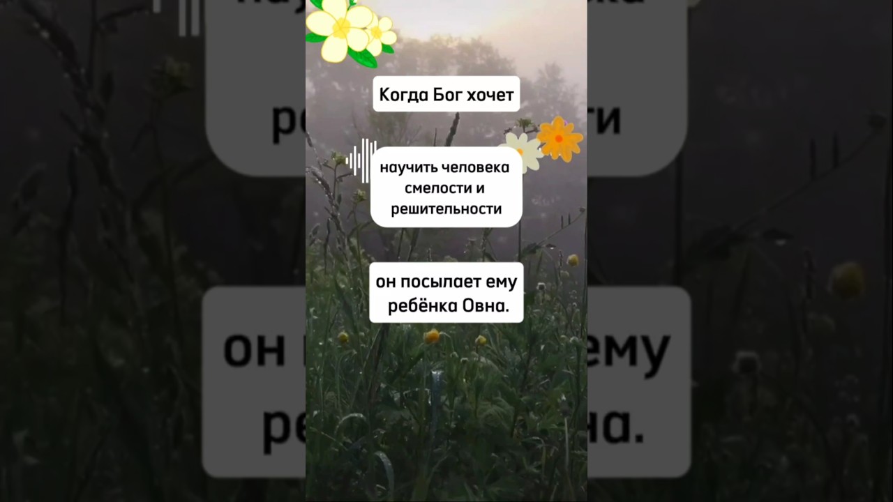 Ребёнок Овен зачем пришёл к вам в жизнь 