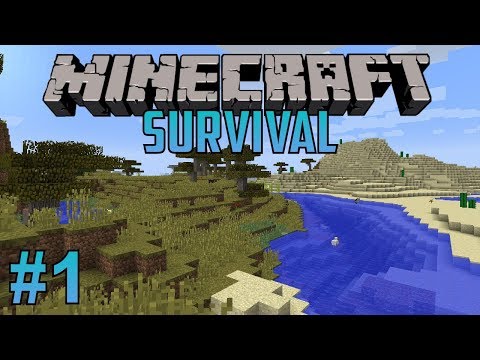 MINECRAFT_SURVIVAL:ვაშენებთ სახლს