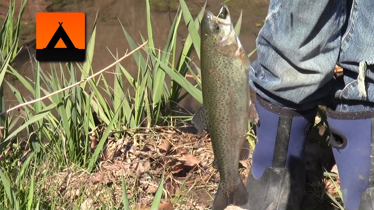 2016 Trout Season Opening Day YouTube