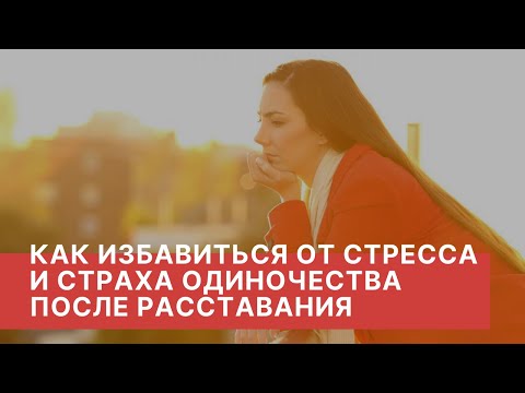 Видео: Трудно расстаться: как сменить ветеринара с минимумом стресса и раздоров