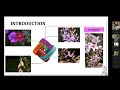 Exploring evolutionary relationships within Chaetogastra DC. (Melastomataceae) and related genera.