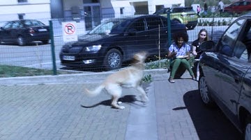 UWC video for firstyears selection