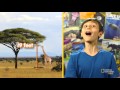 Height Records and Giraffe Facts