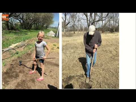 No-till Principles And Practices: Bridging The Gap From The Farm To The Garden