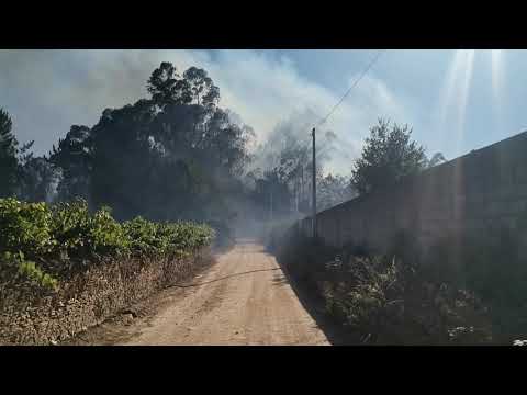 Incêndio em zona de mato em Ribeirão 28/07/2021