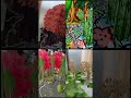 8thwall mini world generation gpt image ~ based on location /weather / theme