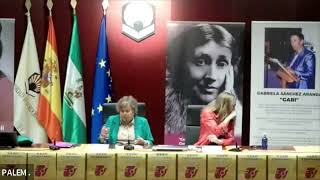 El Sistema Judicial ante la Violencia hacia las Mujeres - Cristina Almeida.  XXXIII Feminario