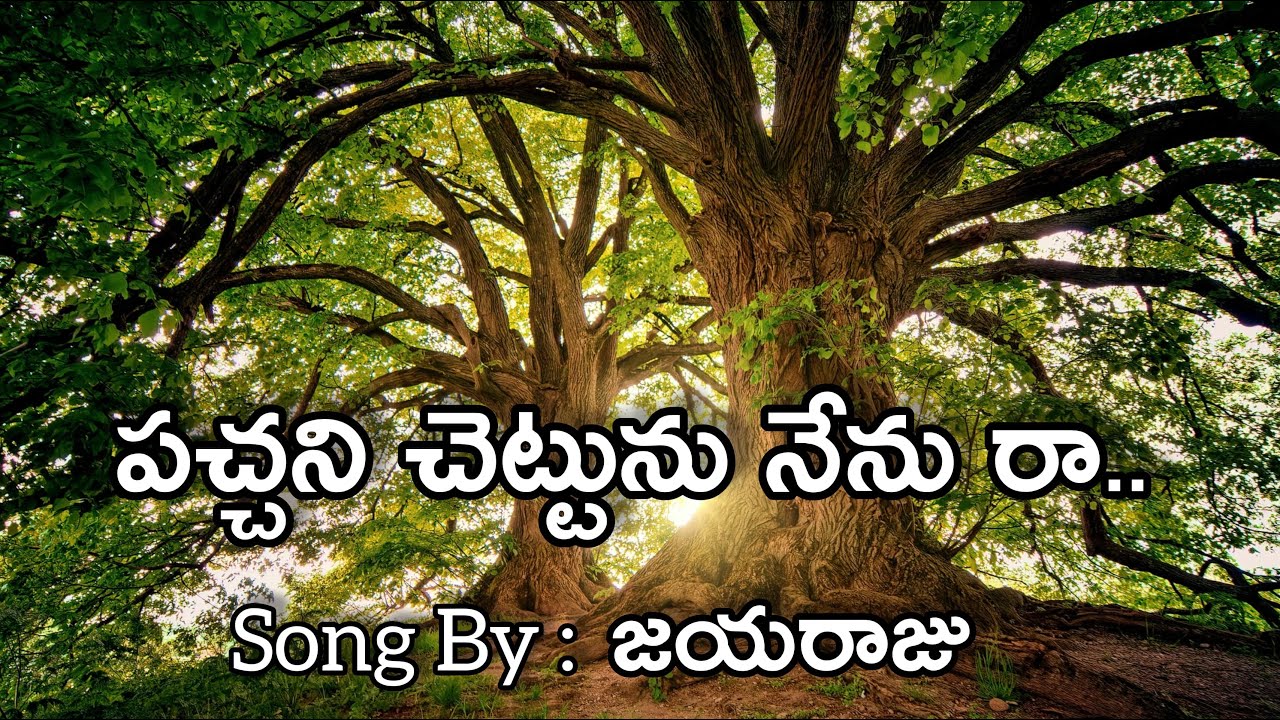 Pachani chettu nenu raapachani chettu nenu raa song jayaraju lyrical video