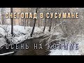 Снегопад с метелью в Сусумане. Осень на Колыме. Иду на работу