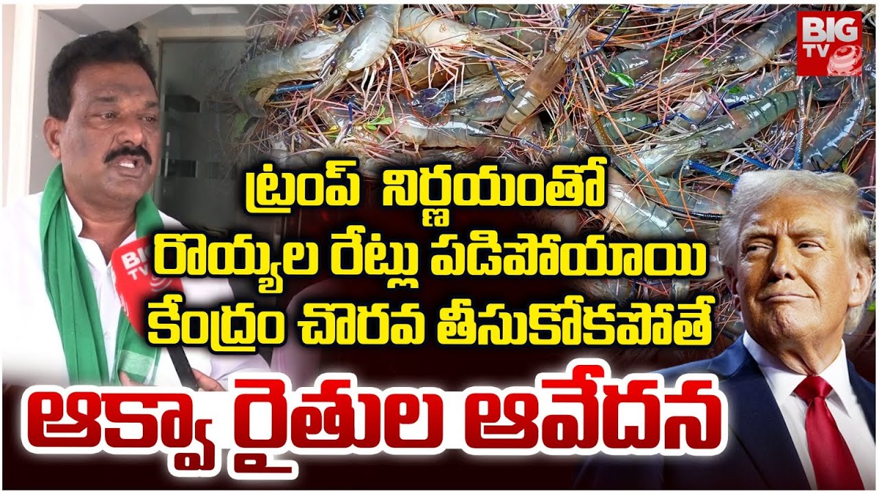 కేంద్రం చొరవ తీసుకోపోతే | Aqua Farmers Reaction Over Shrimp Price Downfall | Donald Trump | BIG TV