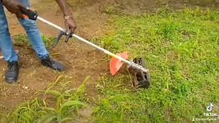 : mechanised weeding