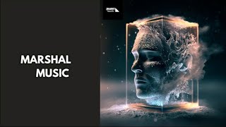 Dellucht - Reinforce