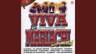La marcha de zacatecas (Instrumental)