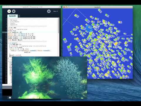 Boids or fishes are swimming in a box