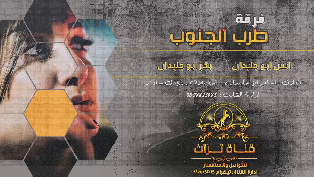 جديد هجيني حزين و تعليلة طرب ||  انس ابو جليدان 2019