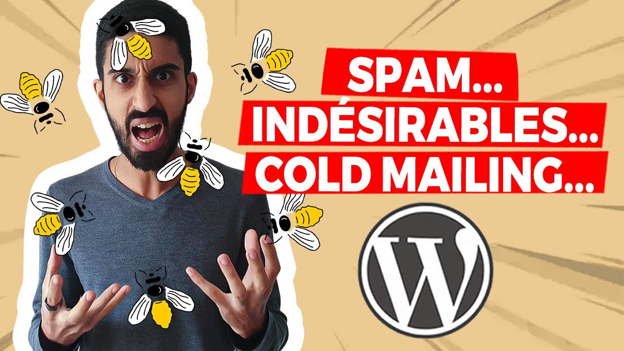 Comment se dbarrasser du spam sur WordPress avec Antispam Bee