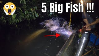 FISHING CAMP KALIMANTAN - TAJUR BIG TOMAN RIGHT IN ITS NEST #293