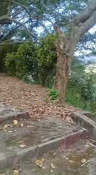 makam patih ronggo lelono ngawi jabal kadas