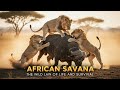 African Savanna| The Wild Law of Life and Survival | Wildlife Documentary 4K UHD