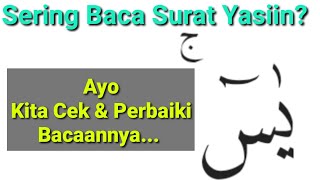 Belajar Ngaji Untuk Pemula - Memperbaiki Bacaan Surat Yasiin Ayat 1-5