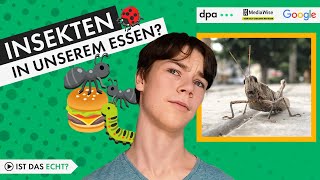 Teen-Faktencheck: Insekten im Essen Möglich, aber nicht ohne Info