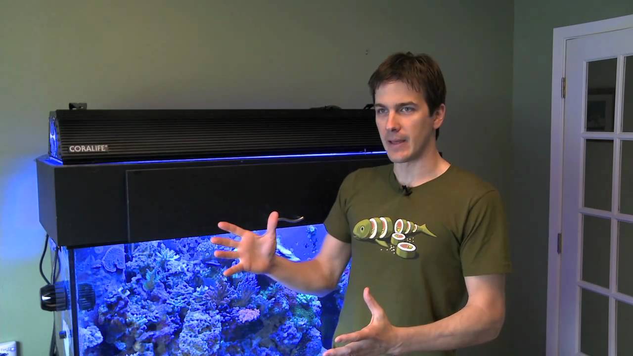aquarium plants Drops, Color Cards and the New Kid on the Block