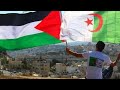 مولوتوفي رشاشي وسلاحي الله أكبر حالات واتس اب مولوتوفي رشاشي وسلاحي الله أكبر حالات واتس اب