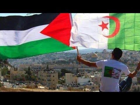 مولوتوفي رشاشي وسلاحي الله أكبر حالات واتس اب