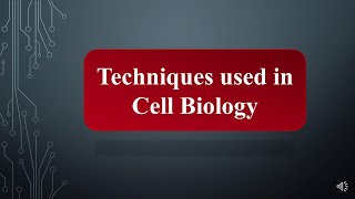 Microscopy and Subcellular Fractionation using Differential Centrifugation