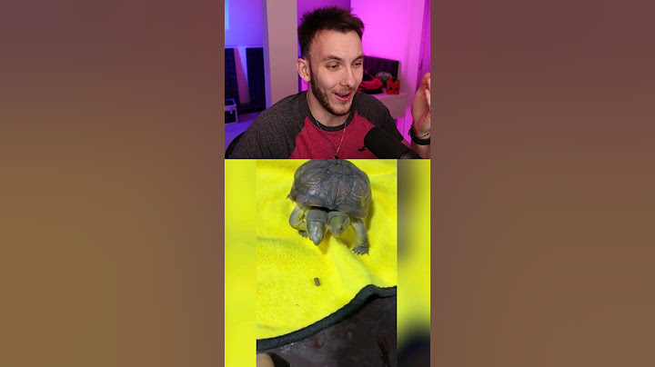 TO NEJLEPŠÍ Z INTERNETU! #6