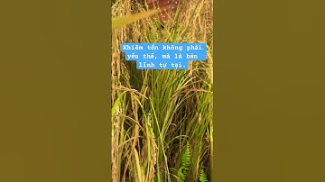 Sông càng sâu càng tĩnh lặng ,lúa càng chín càng cúi đầu #shortvideo #tamtrang #shorts #short #viral