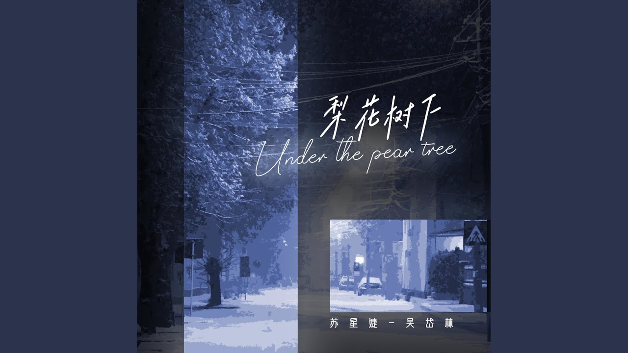 梨花树下 Youtube 梨花树下 Youtube