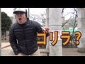 タバコはそこら辺の草でも作ることは出来るか?