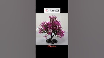 Cây giả trang trí bể cá tiểu cảnh #phukienhoca