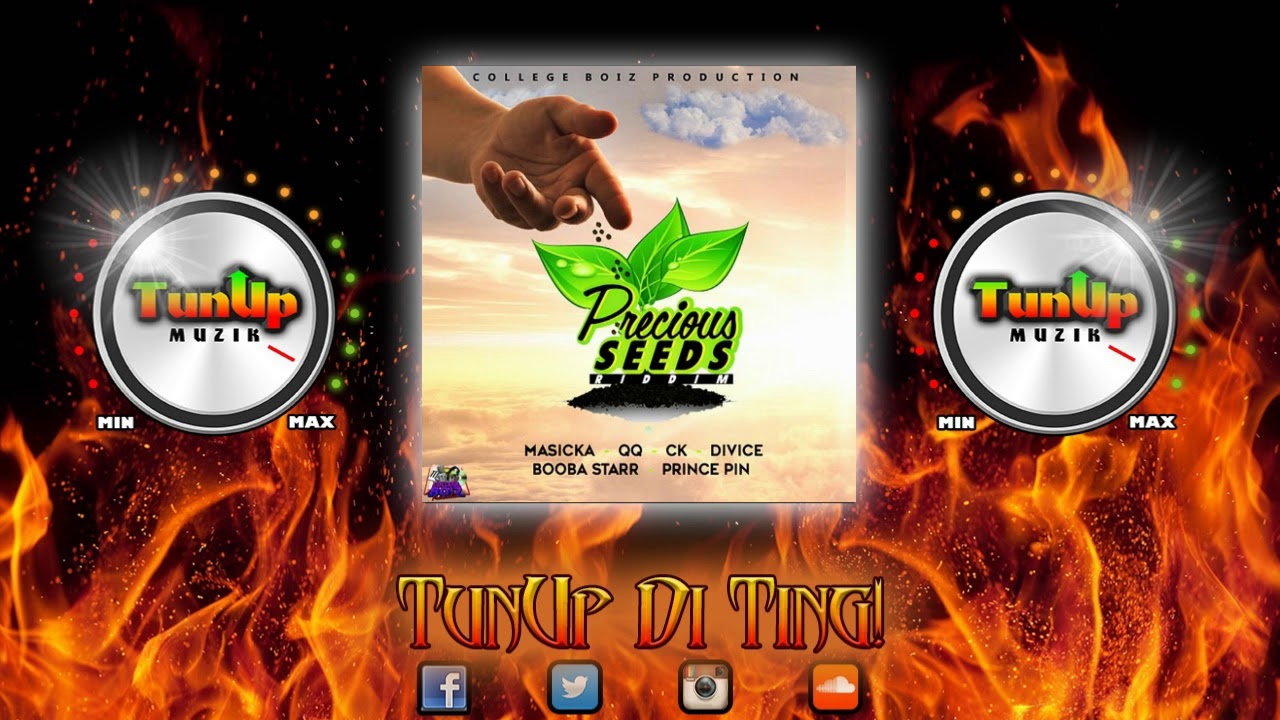 Precious Riddim Precious Seeds Riddim Mix (College Boiz Production) (August 2017 ...