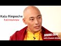 Full interview with kalu rinpoche  dharma chats