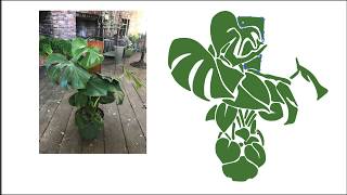 Monstera Deliciosa Tribal Art