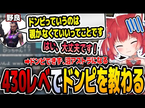 430レベのかるび、味方にドンピについて教えられてしまう...【赤見かるび 切り抜き Valorant】