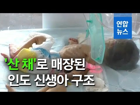 산 채로 매장된 인도 신생아, 주민이 극적으로 구조 / 연합뉴스 (Yonhapnews)