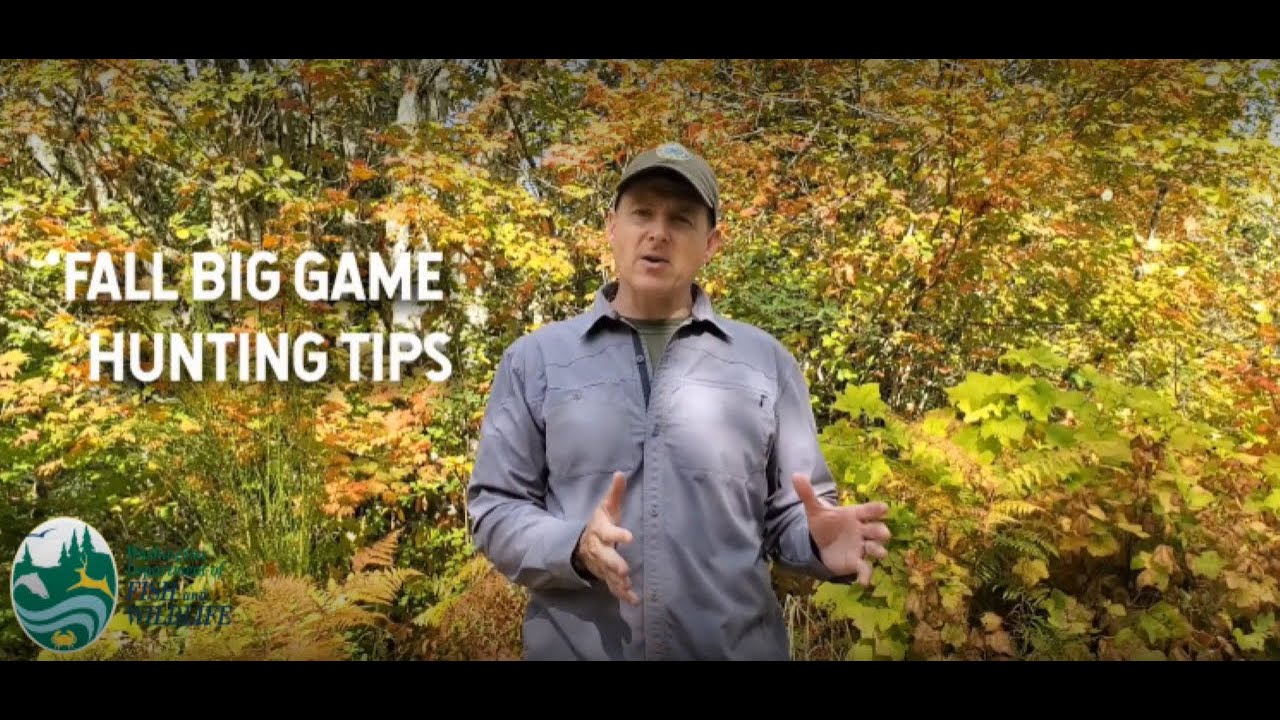 Tom Ryle Blacktail Fall Big Game Hunting Tips with Tom Ryle - YouTube